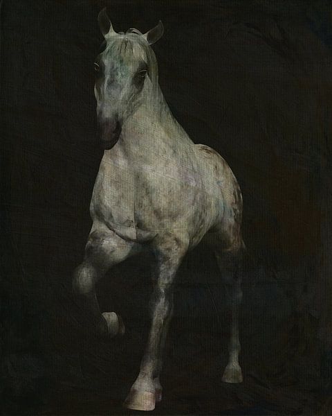 paard dat uit de duisternis komt van Jan Keteleer