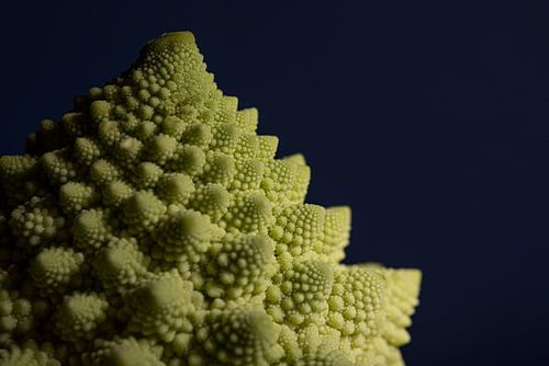 Le légume : Romanesco