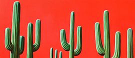 Cactus landscape against a red background by Poster Art Shop