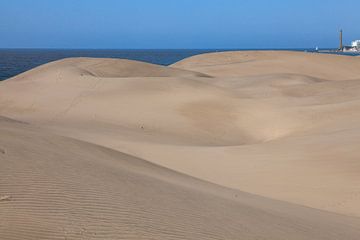 Die Dünen von Maspalomas (Gran Canaria) von t.ART