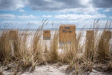 Sur la plage de la mer Baltique sur Steffen Henze