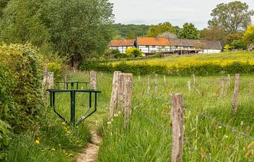 Stegelkes in het Zuid-Limburgse landschap van John Kreukniet