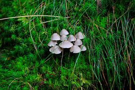 L'automne sur Thomas Jäger