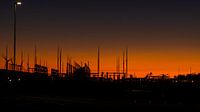 Maasvlakte Rotterdam 5