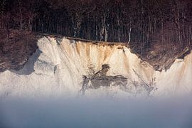 Kreidefelsen Nationalpark Jasmund