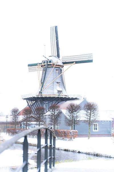 Molen in de sneeuw van Scholtes Fotografie