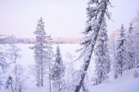 Bevroren meer in Lapland van elma maaskant thumbnail