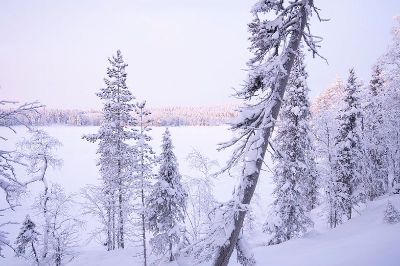 Bevroren meer in Lapland van elma maaskant