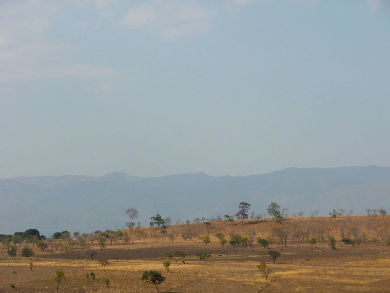 'Vlakte', Tanzania par Martine Joanne