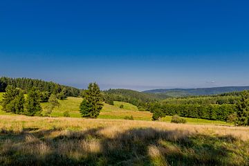 Prachtig landschap bij het Knüllfeld/Thüringer Woud van Oliver Hlavaty