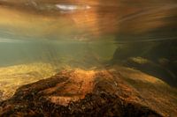 Rivière à débit rapide et grès rouge