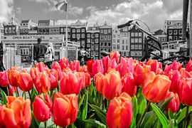Tulipes rouges d'Amsterdam sur Peter Bartelings