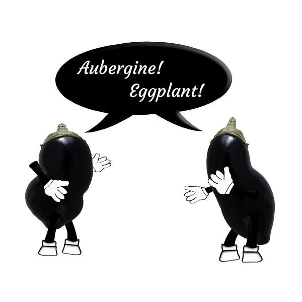Aubergine oder Aubergine. von Grüntyers .