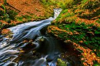 Beek met stromend water in de herfst van Karla Leeftink thumbnail