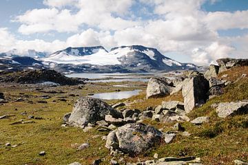 Scandinavisch Berglandschap met rotsblokken van Klaas Hollebeek