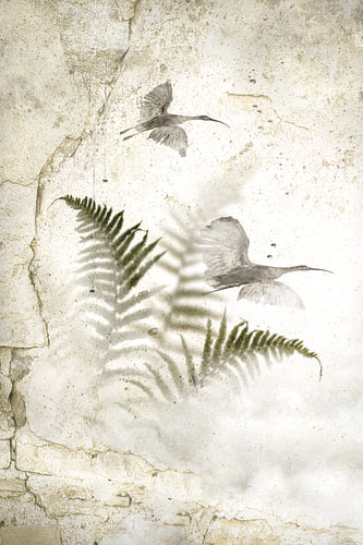 Ferns and Ibises.