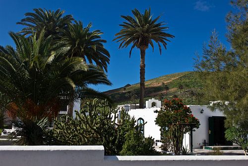 Kirche von Haria mit Palmen