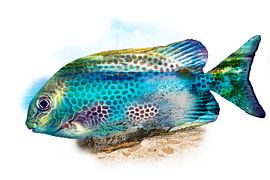 Vakantie in de tropen von Studio Mirabelle