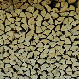 Wood pile by Alex Roetemeijer