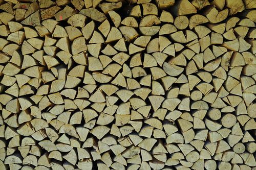 Wood pile by Alex Roetemeijer