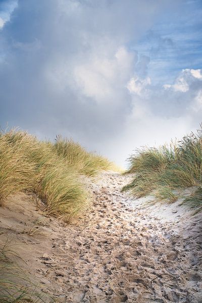 Beach crossing in Denmark by the sea by Martin Köbsch