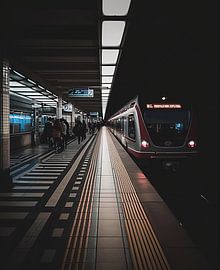 On the road in the big city