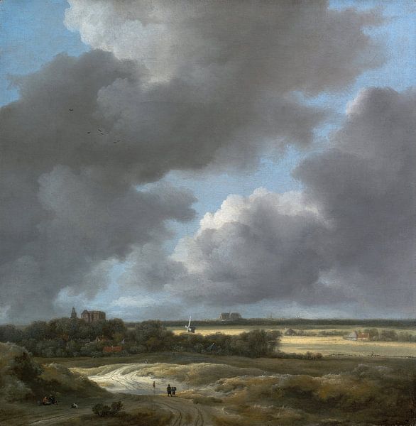 Jacob van Ruisdael - Gezicht op Alkmaar van 1000 Schilderijen