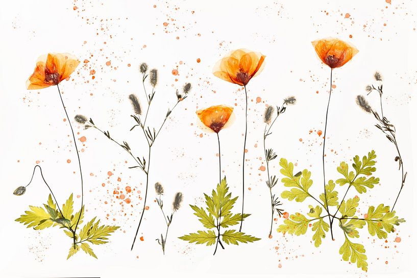 Delicate Poppies - orangefarbene Mohnblumen von Brigitte van Krimpen
