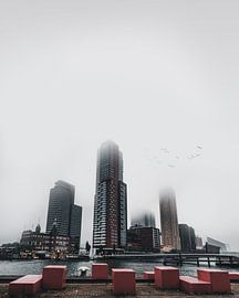 Rotterdam architecture on a misty day, Netherlands by vedar cvetanovic