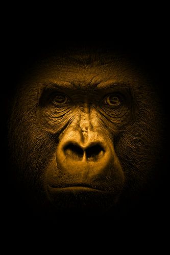 Dark lord gold sur Ron Meijer Photo-Art