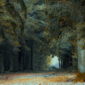 The Saxon Forest by Kirsten Warner