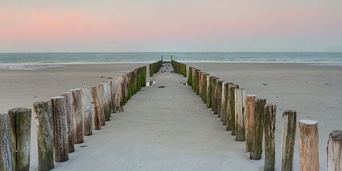 Strandpalen tijdens zonsopkomst