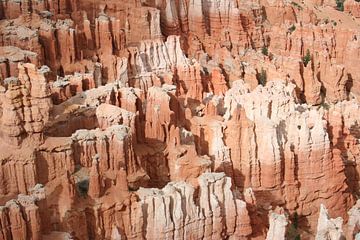 Bryce Canyon van Anouk Davidse