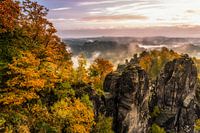 autumn morning