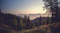 Autumn atmosphere on the mountains with a view of the Alps by chamois huntress thumbnail