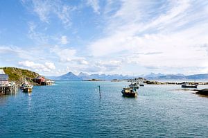 Uitzicht over een fjord bij de Lofoten
