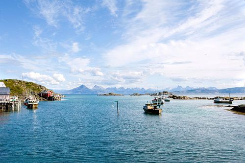 Uitzicht over een fjord bij de Lofoten