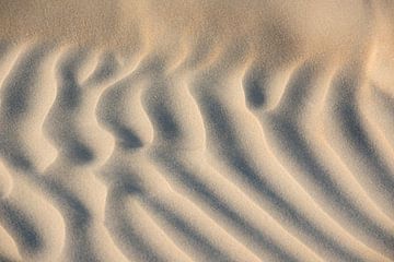 Dynamique du sable