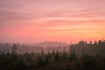 Zonsondergang over de Hoge Venen