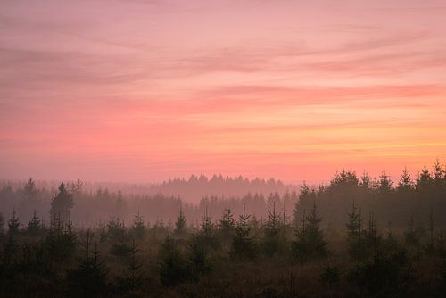 Zonsondergang over de Hoge Venen