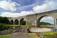 Ardnambuth Viaduct von Babetts Bildergalerie Miniaturansicht