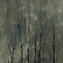 Kale bomen, Nel Talen van 1x thumbnail