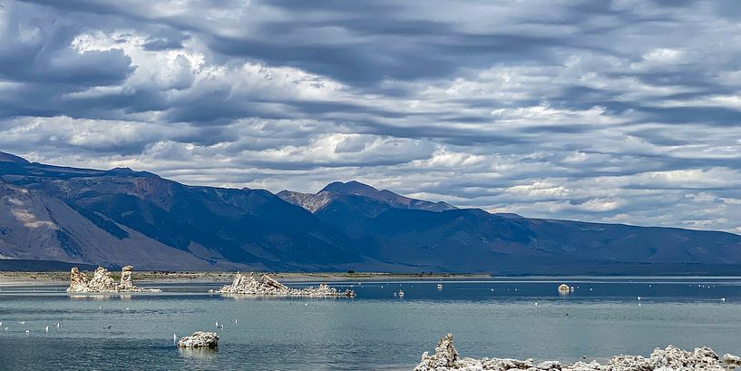 Mono Lake California. by Kris Hermans
