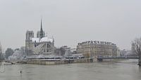 Notre-dame in de sneeuw