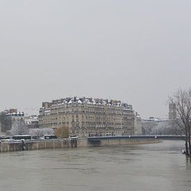 Notre-Dame  im Schnee von Jacintha Van beveren