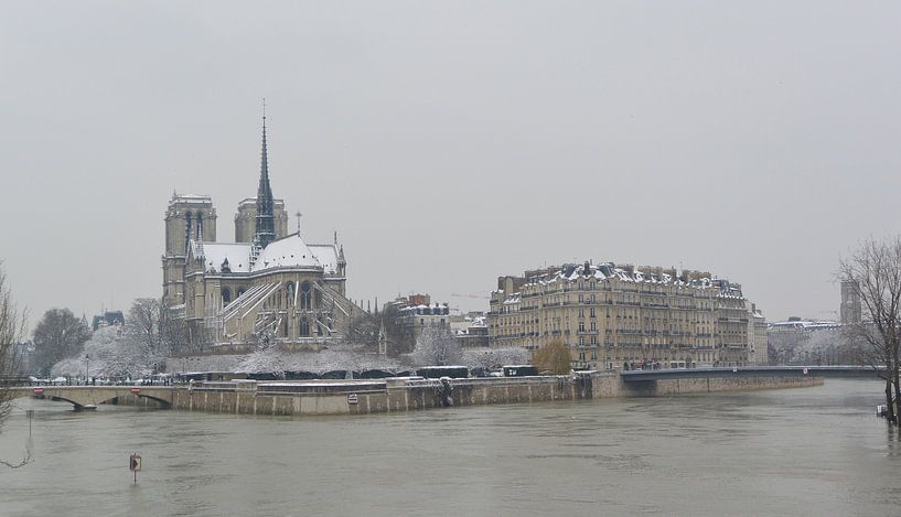 Notre-Dame of Paris in the snow by Jacintha Van beveren
