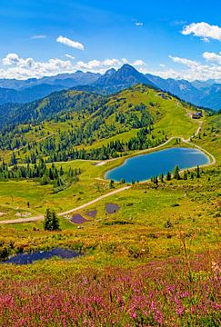 La montagne idyllique à Flachauwinkl sur Christa Kramer