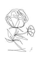 Peony