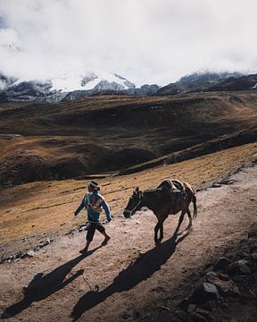 Traditionale Peruviaanse man in de bergen aan het werk | Peru van Felix Van Leusden