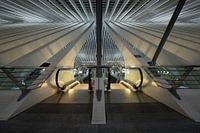 gare du guillemins